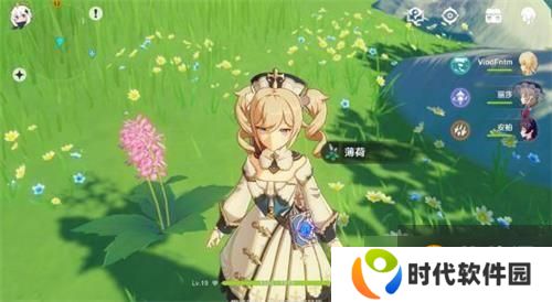 原神薄荷有什么用 薄荷在哪里摘取