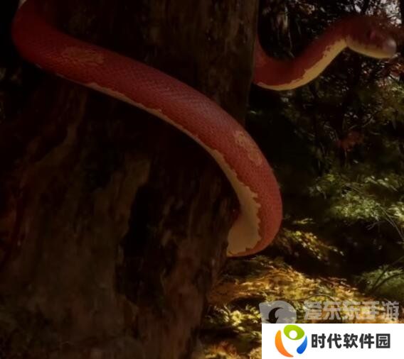 黑神话悟空角色有哪些 黑神话悟空角色介绍